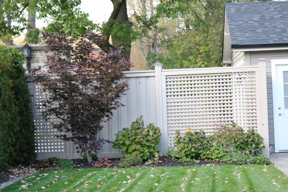 decorative fence, screen, Japanese maple