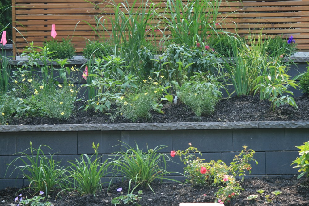 raised beds