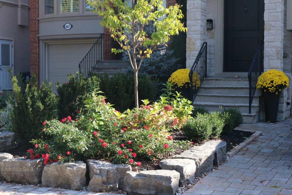 armor stone retaining wall, shrub roses, driveway, front yard
