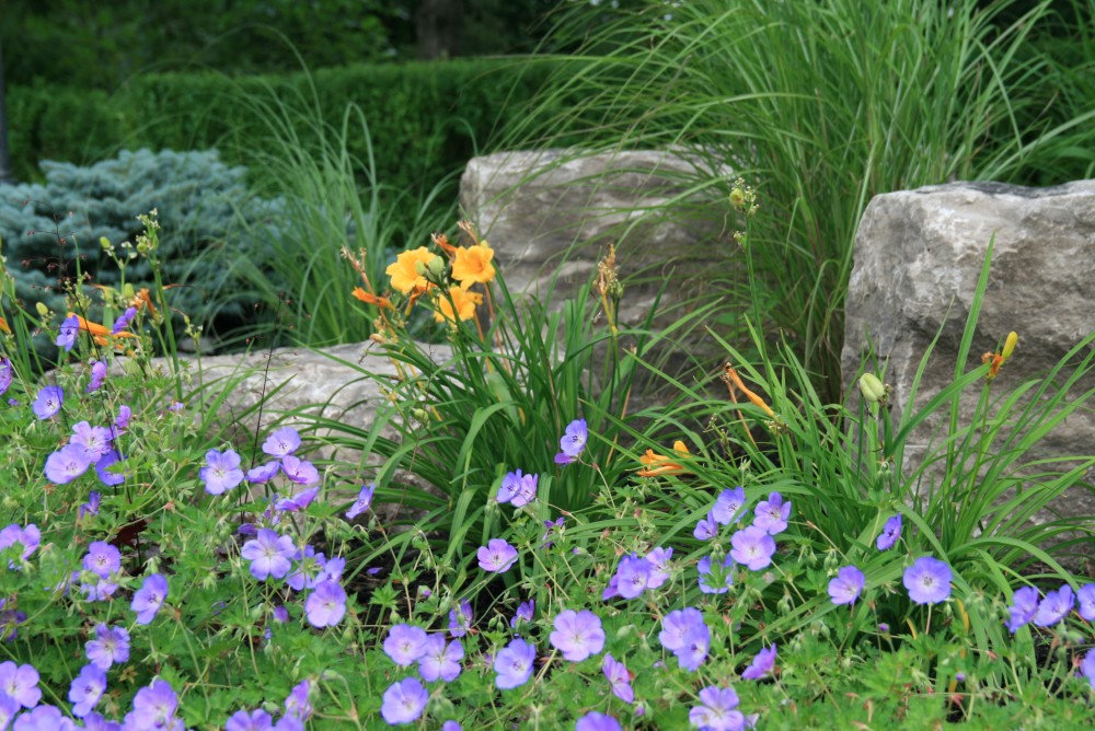 Wanless Park rockery and grasses